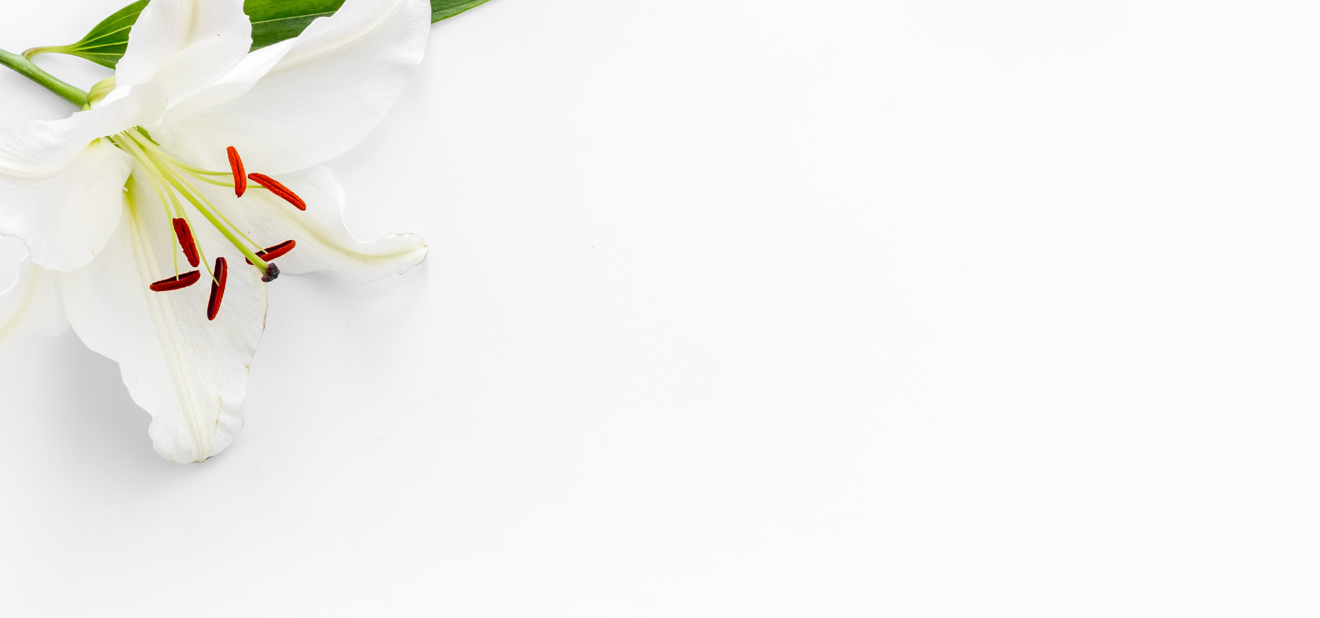 Urnas Funerarias (13)